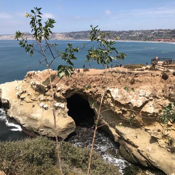 Meet your Posher, Kindra - Picture 1 of 1